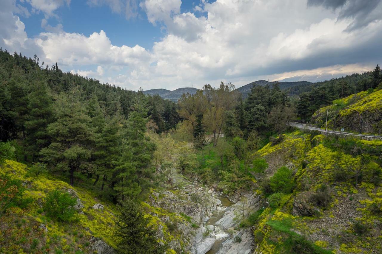 River Side Rooms Elassona Екстер'єр фото